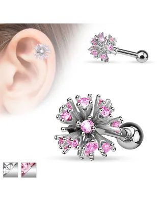 Piercing oreille cartilage multi gemmes