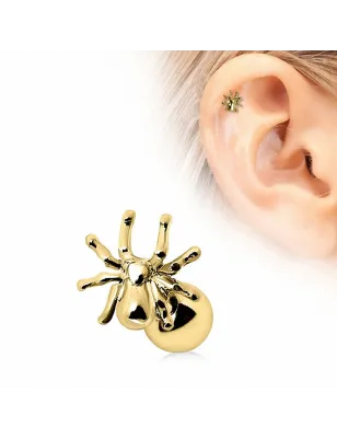 Piercing cartilage plaqué or araignée
