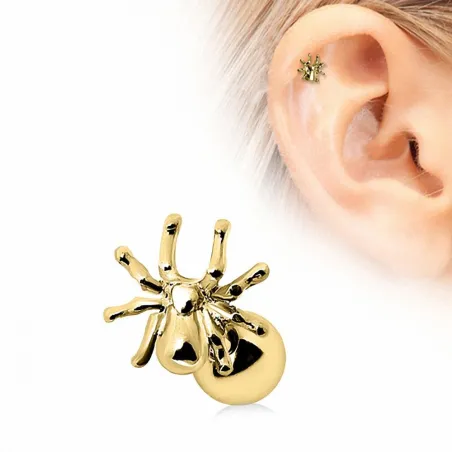 Piercing cartilage plaqué or araignée