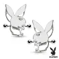 Paire de piercing téton bouclier Playboy
