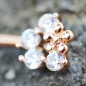 Piercing téton or rose fleurs