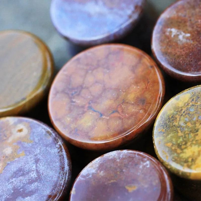 Joli Plug En Bois Coloré Avec Un Coquillage