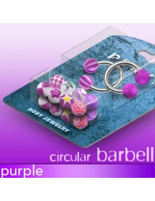 Pack 2 Piercing fer à cheval Boules Acrylique Violet