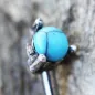 Piercing arcade gemme turquoise