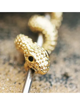 Piercing industriel serpent doré