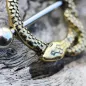 Piercing téton bouclier serpent plaqué or