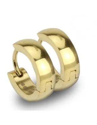 Paire Boucles d'oreille Anneaux Acier Doré IP