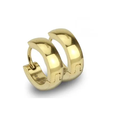 Paire Boucles d'oreille Anneaux Acier Doré IP