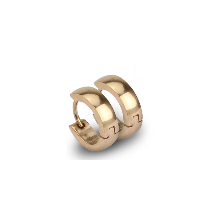 Paire Boucles d'oreille Anneaux Acier Rosé IP