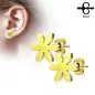 Paire boucles d'oreilles clous fleur doré