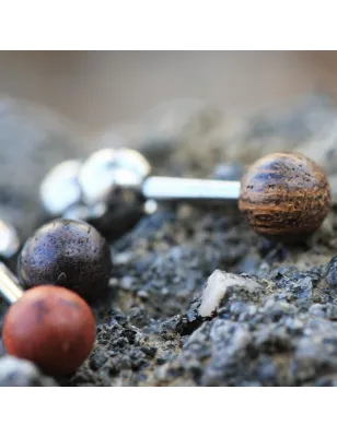 Piercing cartilage hélix bois naturel