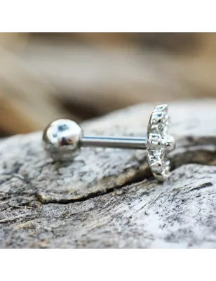 Piercing oreille cartilage hélix avec une marguerite