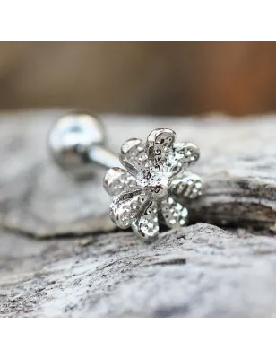 Piercing oreille cartilage hélix avec une marguerite