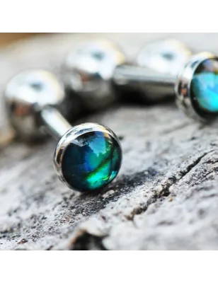 Piercing cartilage hélix nacre abalone