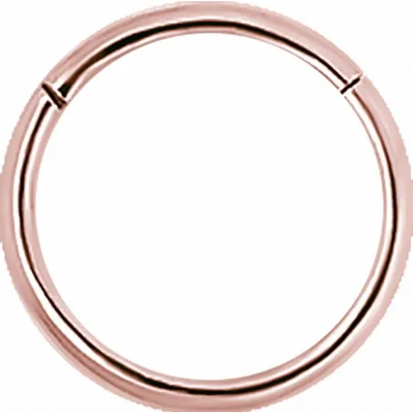 Piercing anneau segment en véritable or rose 18 carats