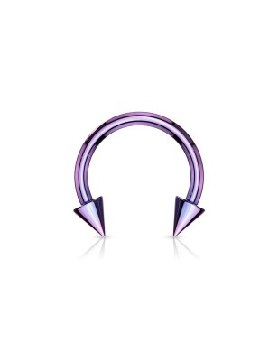 Piercing fer à cheval Titane Spike