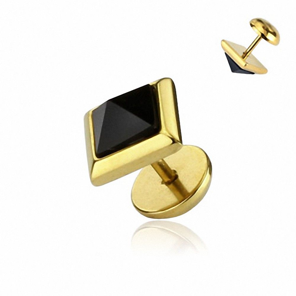 Piercing faux plug logo