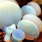 Piercing plug pierre opalite naturelle