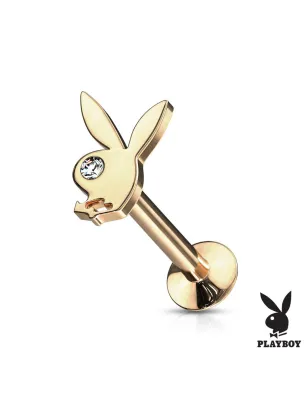 Piercing labret lèvre oreille Playboy doré