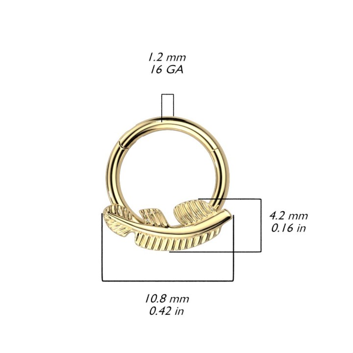 Piercing anneau segment titane G23 feuille doré