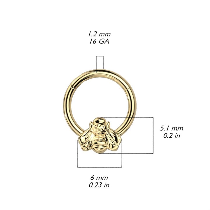 Piercing anneau segment titane G23 abeille doré