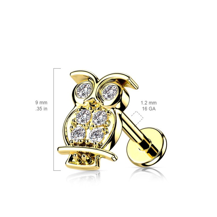 Piercing labret cartilage hibou doré