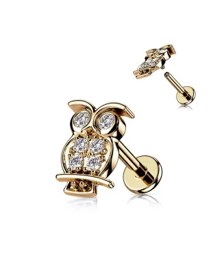 Piercing labret cartilage hibou rosé