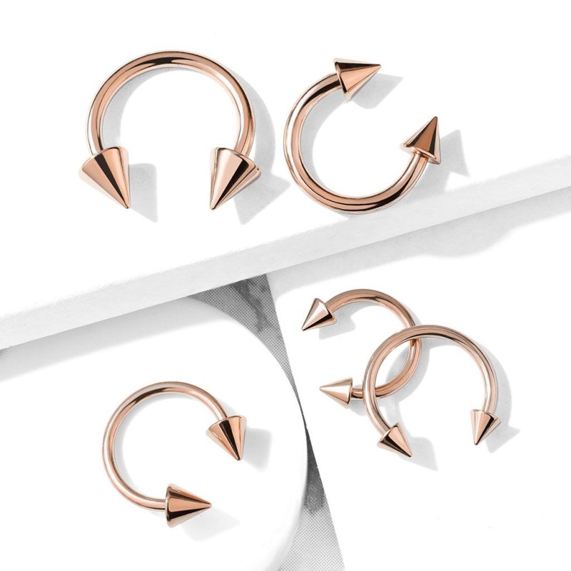 LunarCharm Lot de 2 bagues de septum en or et argent empilées en acier chirurgical 316L Anneau de nez fleur Septum Clicker Daith bijoux de piercing à charnière