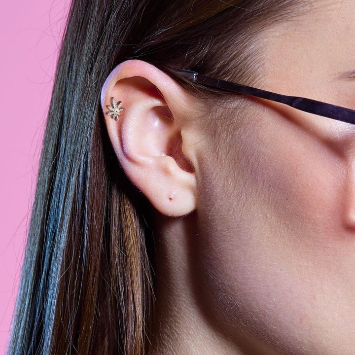 Piercing cartilage hélix feuille de cannabis