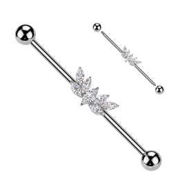Piercing industriel éventail marquise en acier chirurgical