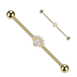 Piercing industriel zircon rond et éventail en acier chirurgical doré