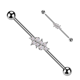 Piercing industriel zircons ronds avec spikes en acier chirurgical