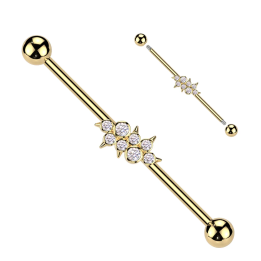 Piercing industriel zircons ronds avec spikes en acier chirurgical doré