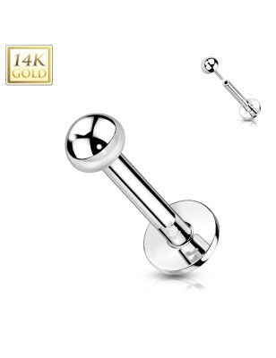 Labret oreille or blanc 14K push-in boule | Piercing élégant