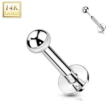 Labret oreille or blanc 14K push-in boule | Piercing élégant