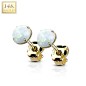 Boucles d'oreilles en or jaune 14K opales blanches Boucles d'oreilles en or jaune 14K opales blanches