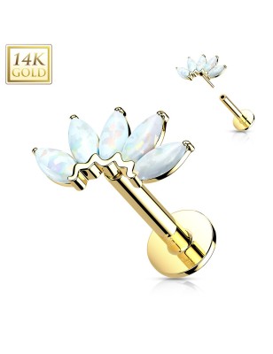 Labret or jaune 14K 5 opales marquises – Piercing oreille push-in