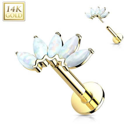 Labret or jaune 14K 5 opales marquises – Piercing oreille push-in