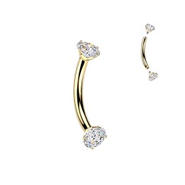 Piercing Arcade & Rook Or 24K – Zircons Griffes | Titane ASTM F136