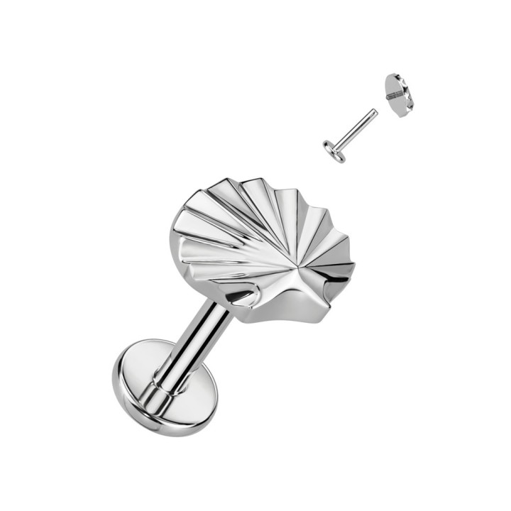 Piercing Oreille Labret Titane ASTM F136 Argenté Motif Coquillage – 8 mm | Piercing Street