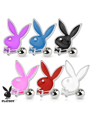 Piercing oreille cartilage lapin Playboy