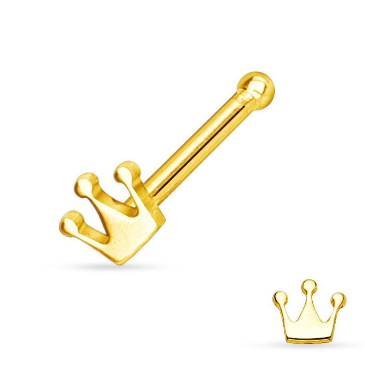 Piercing nez tige droite couronne argentée