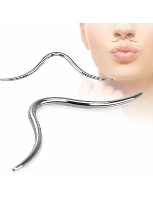 Piercing septum moustache